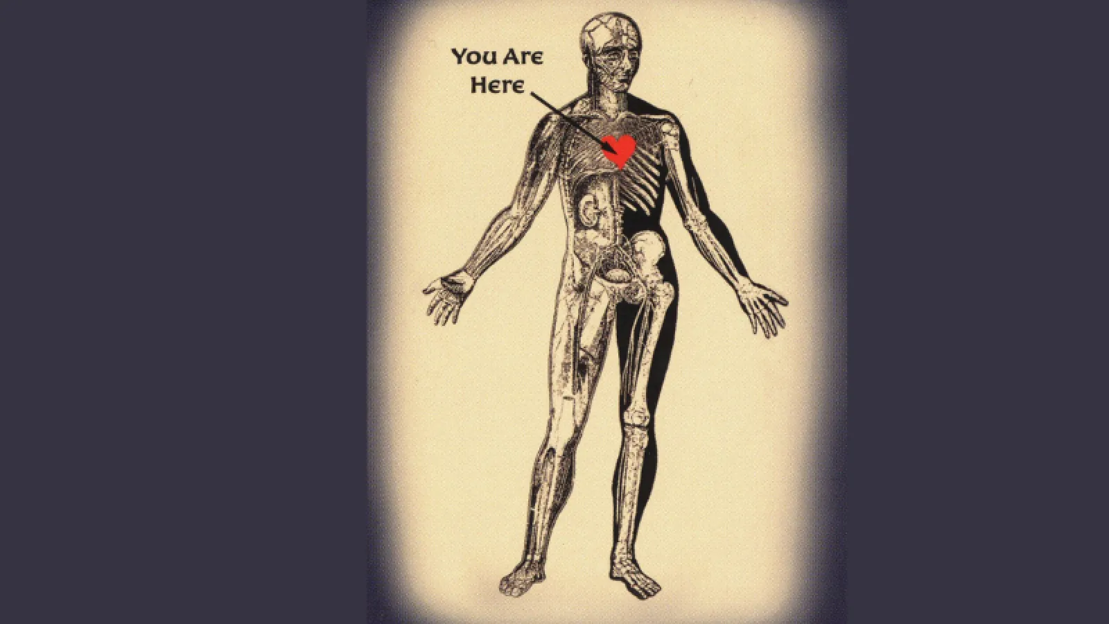 (Image: Human skeleton with red heart) Medical Humanities Logo